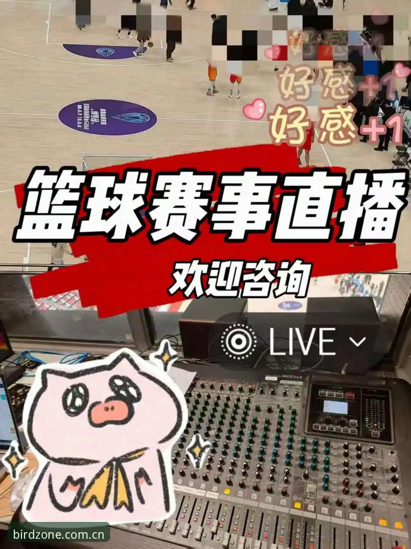 小鸟体育体育直播官方下载深度评测：全新观赛体验与互动功能全面解析