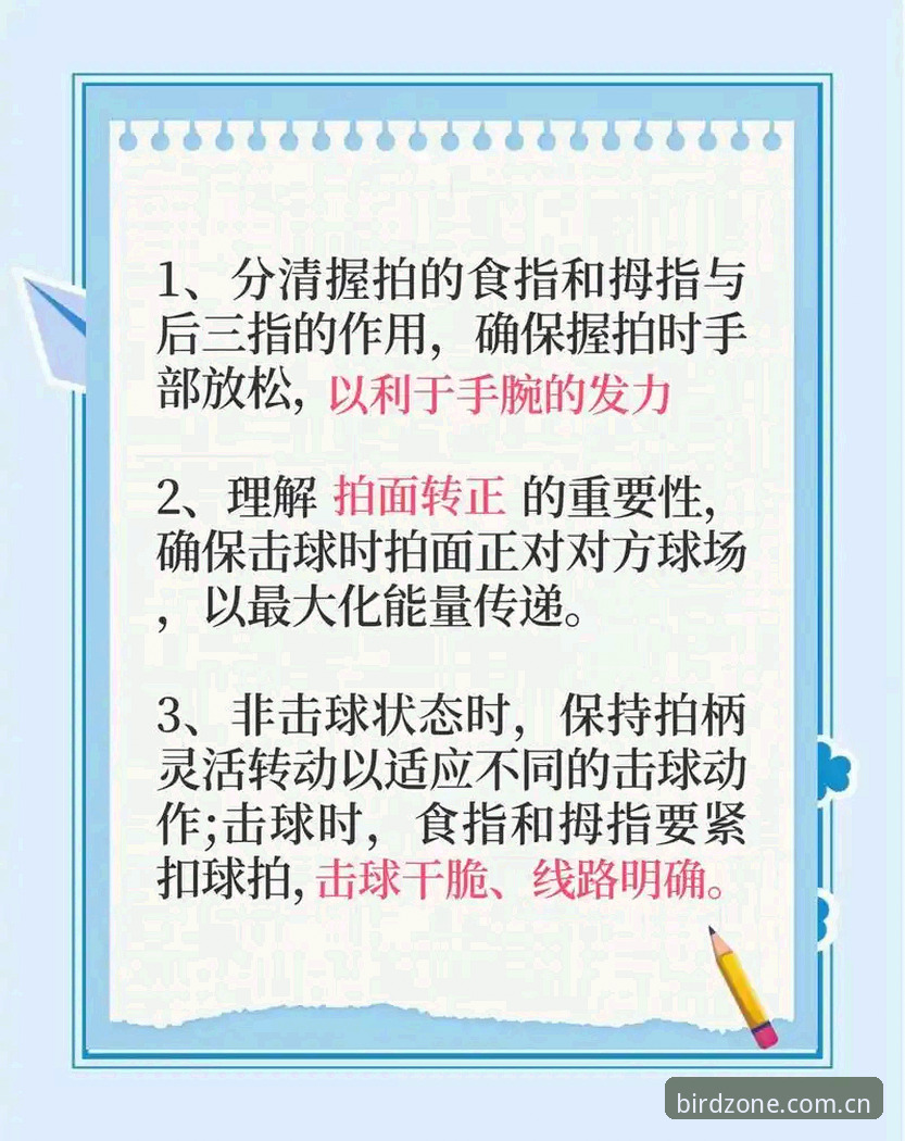 小鸟体育平台高效互动秘诀：从观赛到参与的全场景实用指南